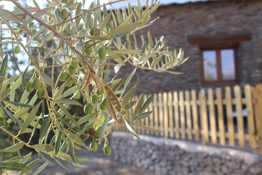 Dreams Alpujarra Apartman Pampaneira Kültér fotó
