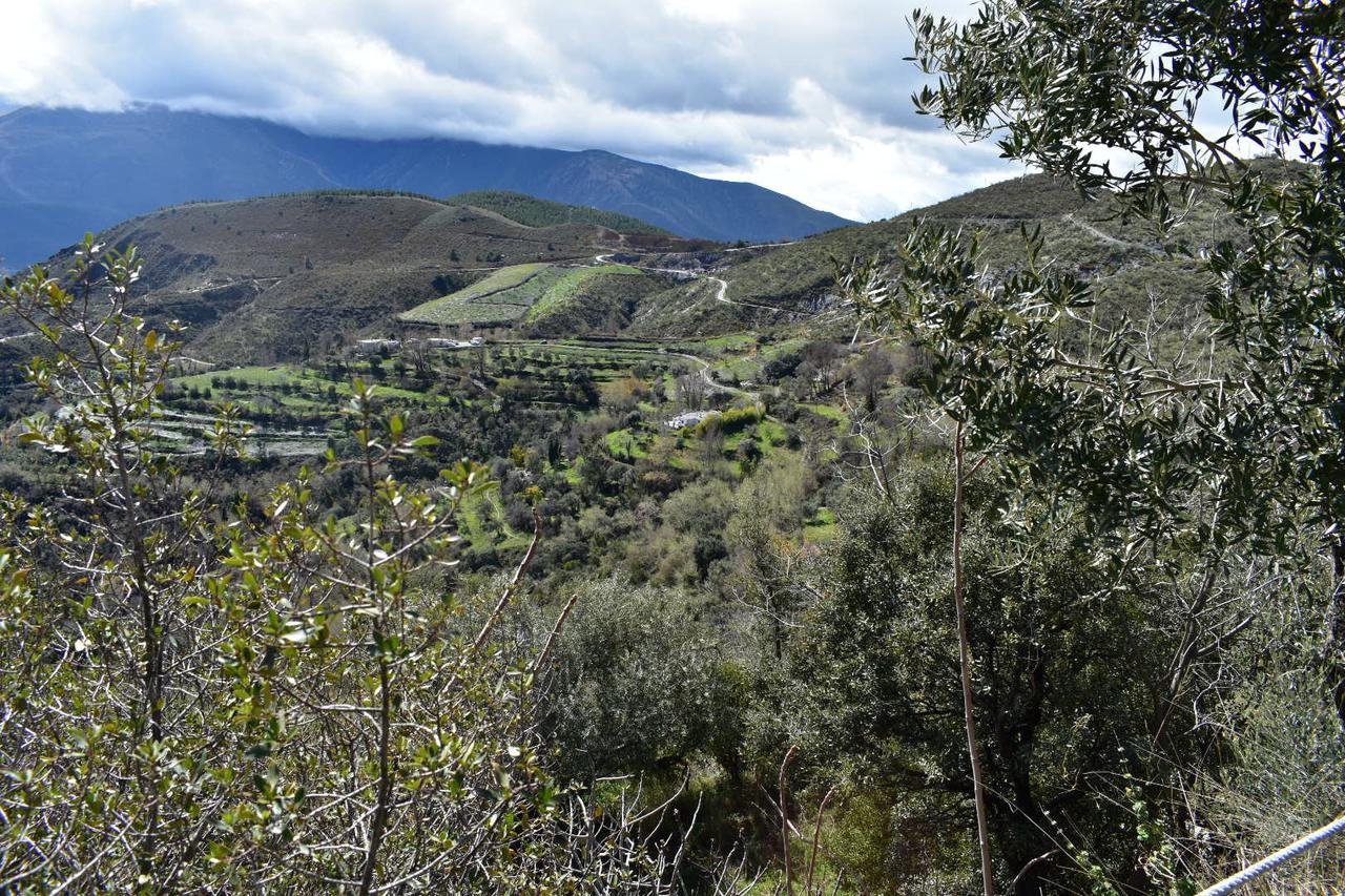 Dreams Alpujarra Apartman Pampaneira Kültér fotó